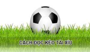 Tìm Hiểu Kèo Tài Xỉu Và Cách Xem Số Liệu Thống Kê