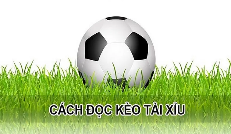 Tìm Hiểu Kèo Tài Xỉu Và Cách Xem Số Liệu Thống Kê