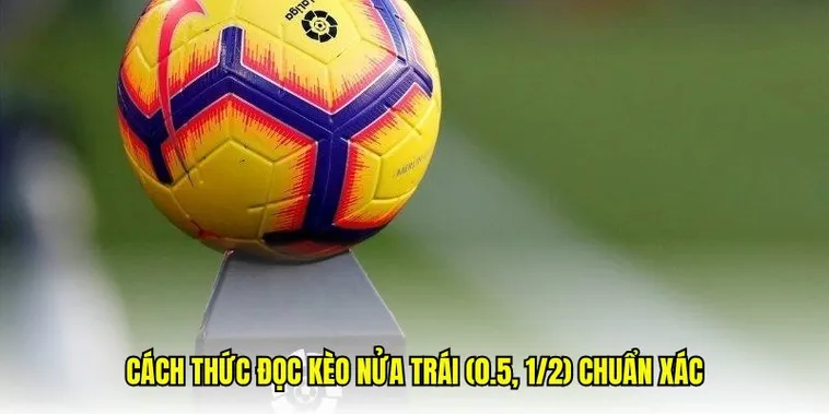 Những Kiến Thức Cần Biết Về Kèo Chấp 0.5 Trong Cá Cược Bóng Đá