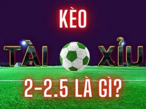 Cách Chơi Kèo 2.25 Trong Bóng Đá Để Tối Ưu Lợi Nhuận