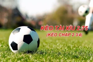 Phân Tích Kèo 2.75 Và Những Chiến Thuật Dự Đoán Hiệu Quả Nhất