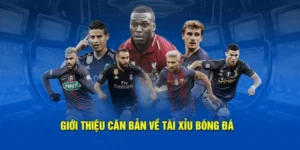 Mẹo Soi Kèo Tài Xỉu Bóng Đá Giúp Tăng Tỉ Lệ Thắng